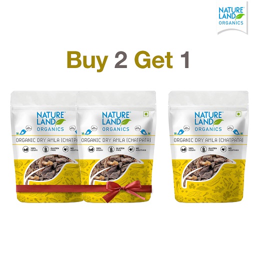 Organic Amla Candy Chatpata 100 Gm - Buy 2 Get 1 free